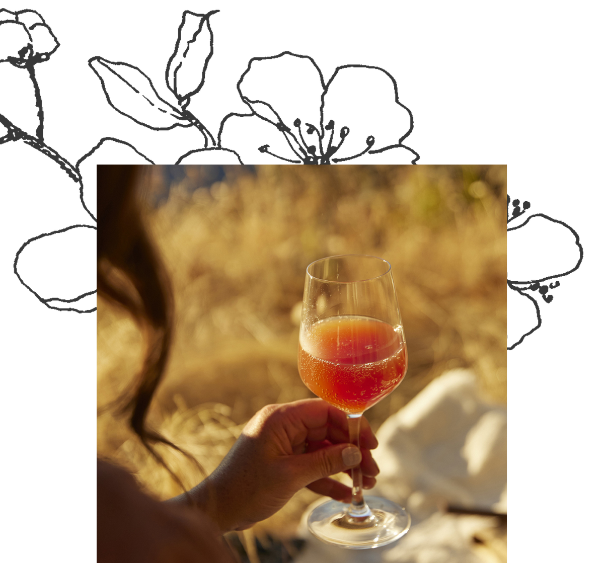 What is Sparkling Wine? Girl Meets Dirt