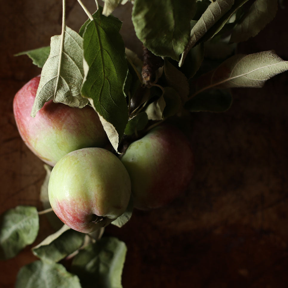 An Ode to Apples - Girl Meets Dirt