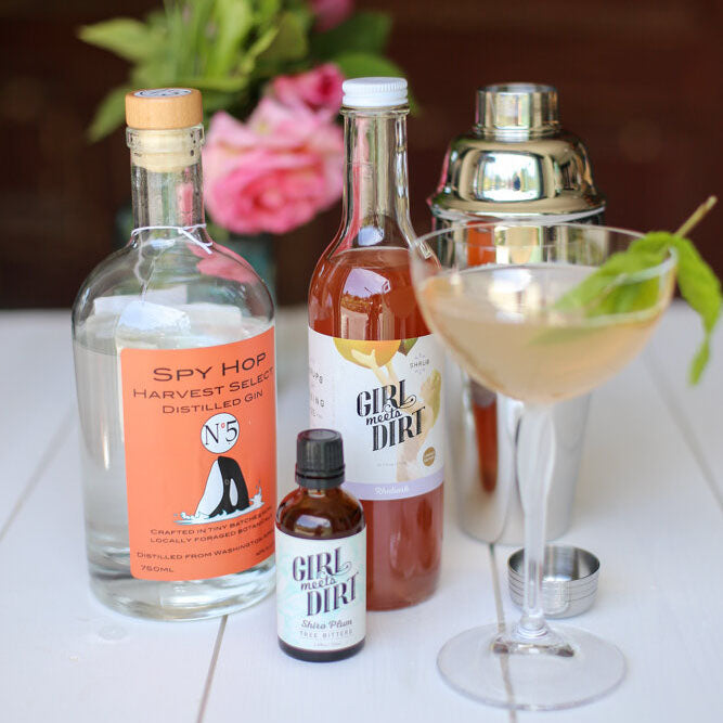 Rhubarb Shrub Gin & Tonic - Girl Meets Dirt