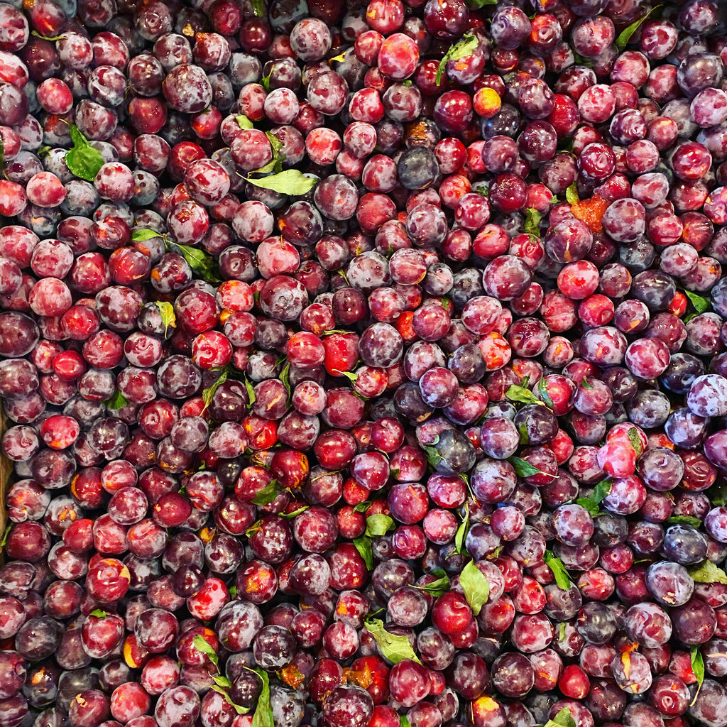 Vanilla Plum Medley Spoon Preserves