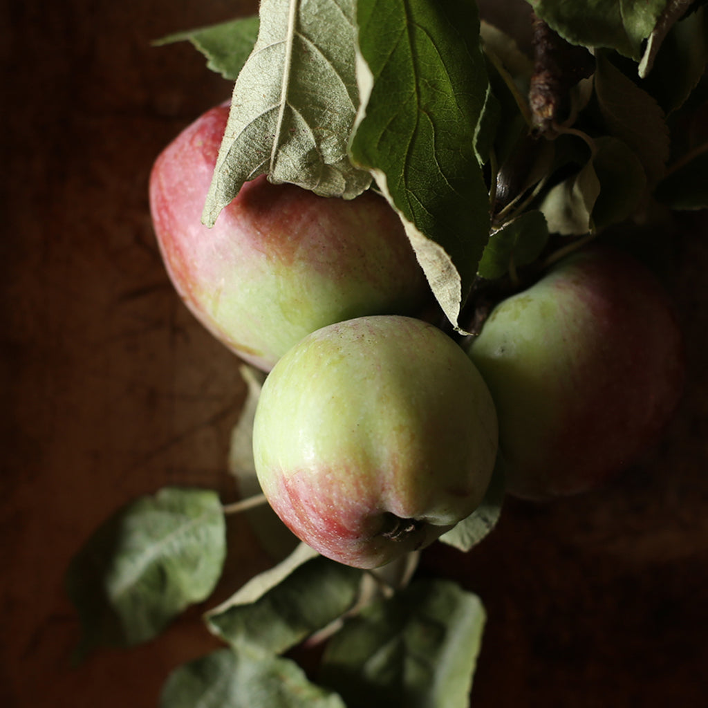 Ruby Red Apple Cutting Preserves