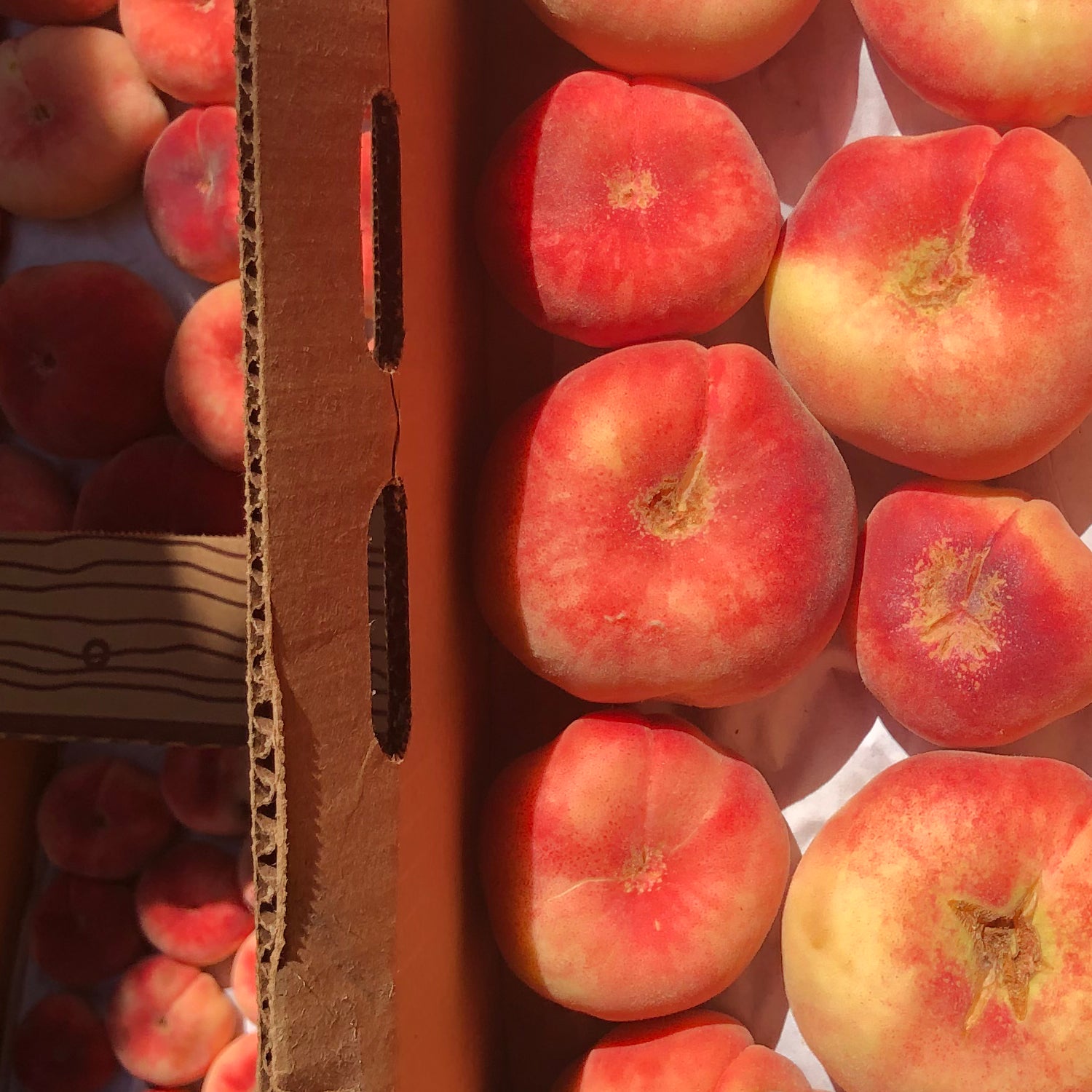 Donut Peach w/ Lime Spoon Preserves | Girl Meets Dirt