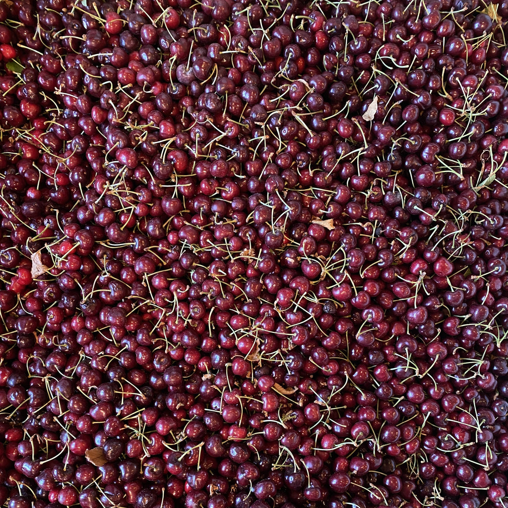 Cherry Fig Leaf Spoon Preserves