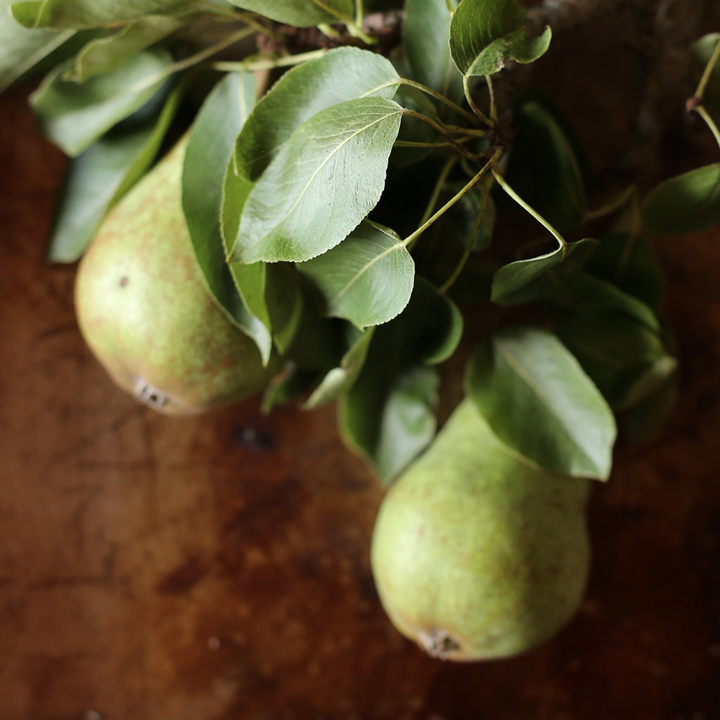 Pear Balsamic Spoon Preserves