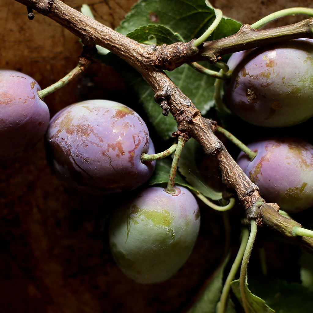 Island Plum Spoon Preserves