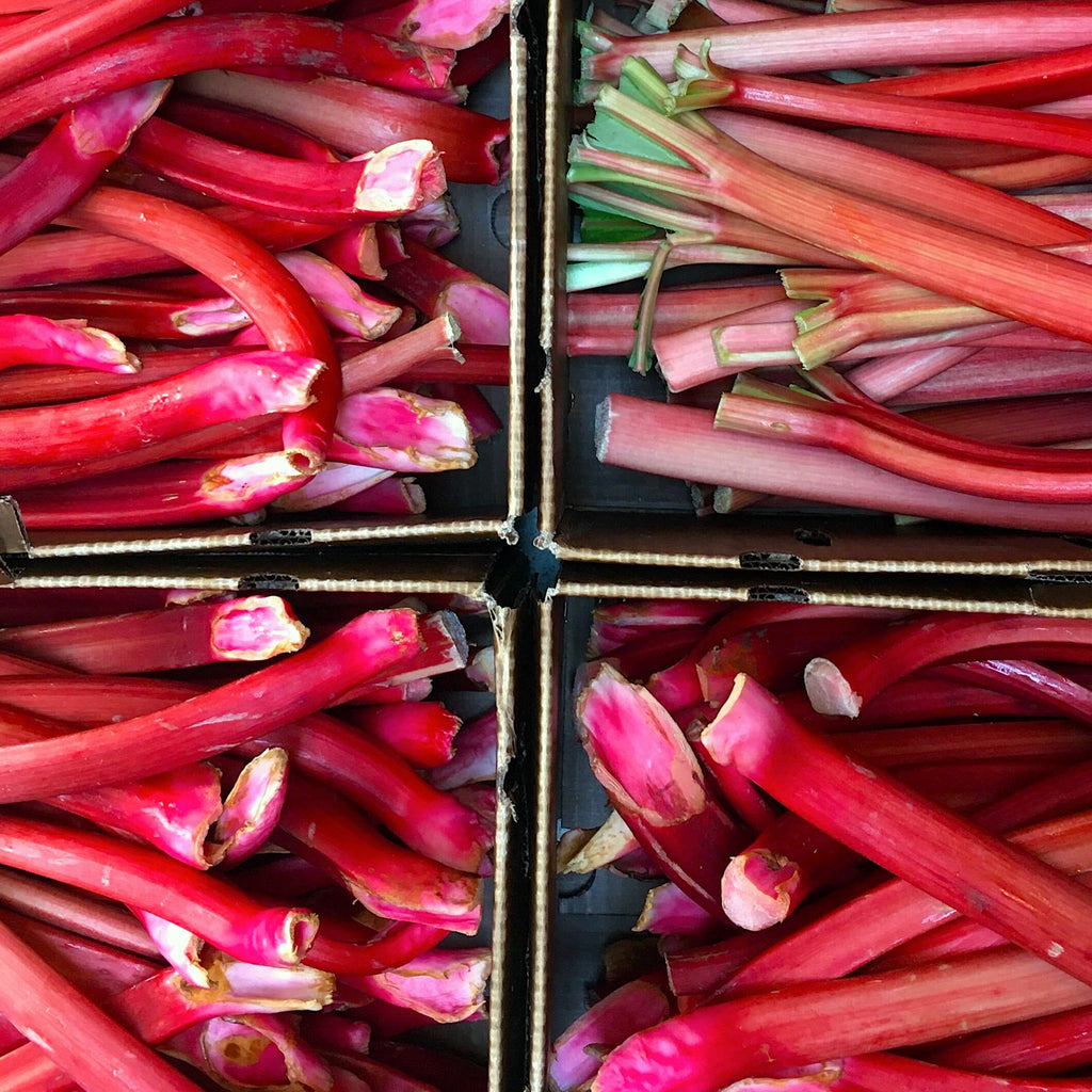 Rhubarb Shrub